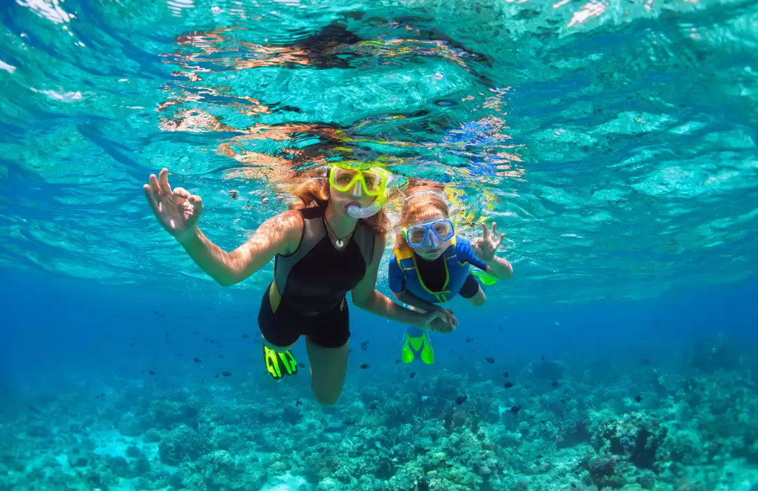 Embark on a Snorkeling or Diving Adventure