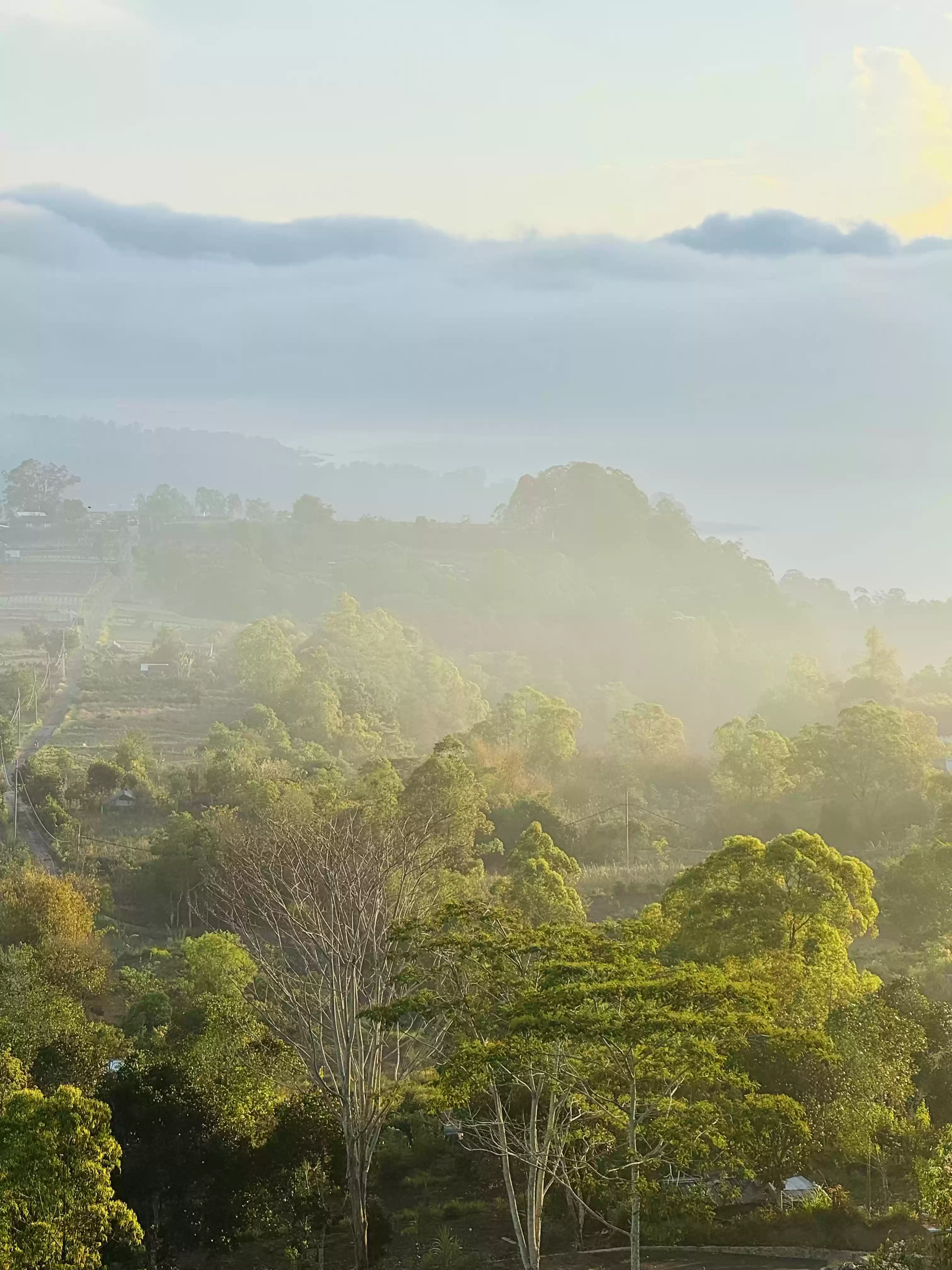 Kintamani Mountain Tour