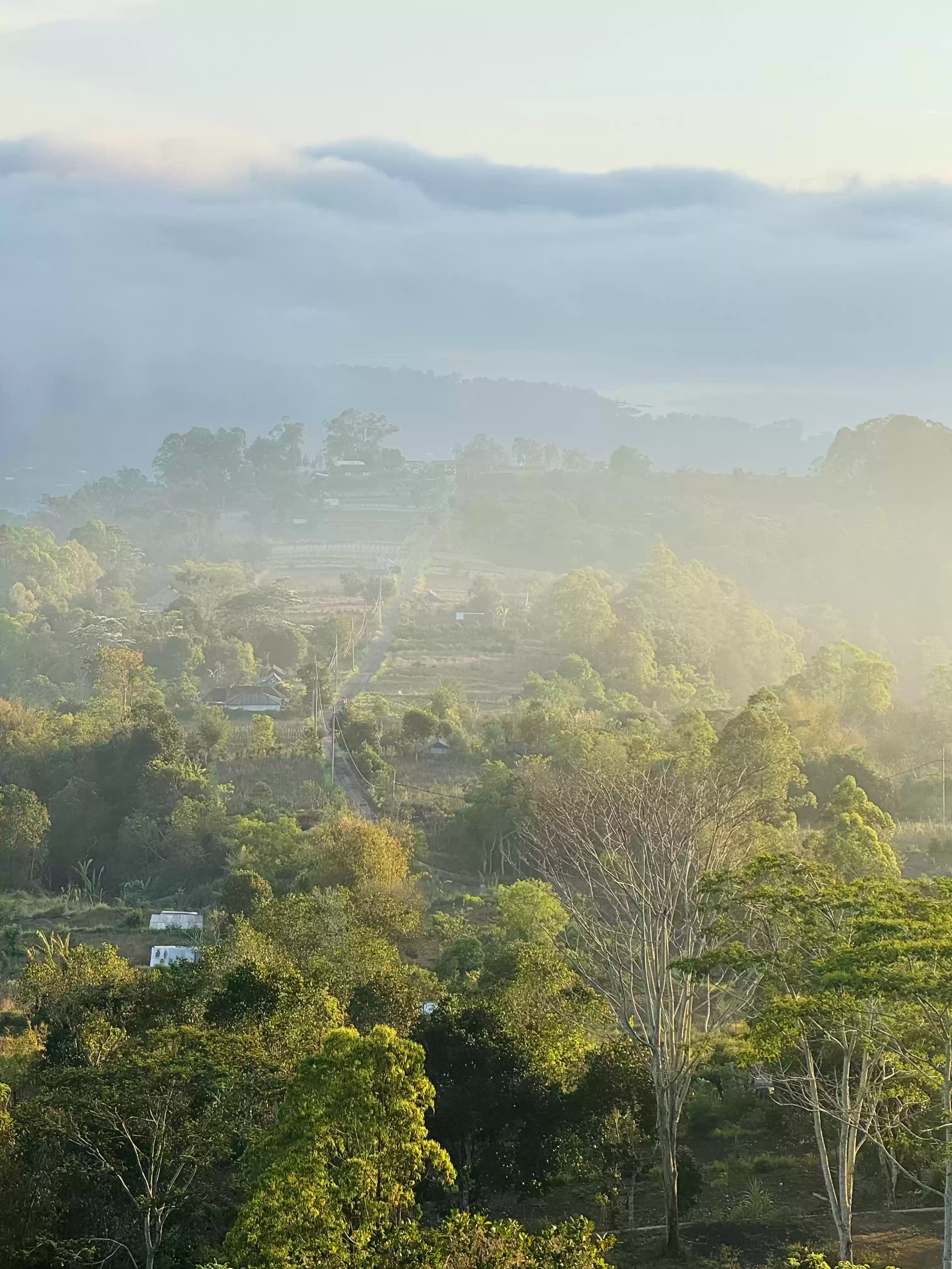Kintamani Mountain Tour