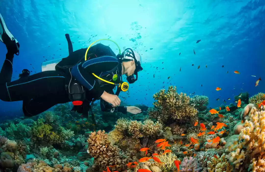 Dive into Bali’s Underwater Wonders