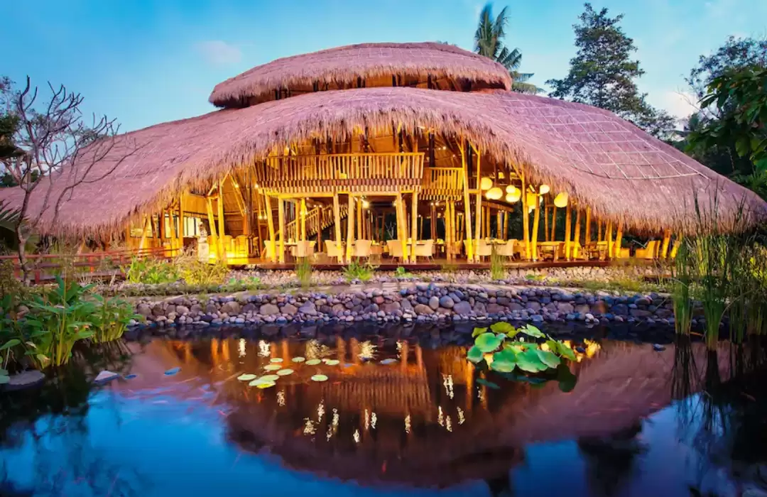 Fivelements Retreat: A Haven for Healing