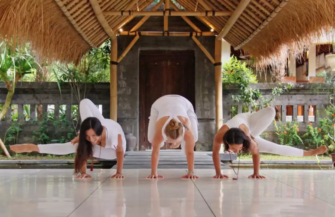 Blooming Lotus Yoga: Immersive Yoga Retreats