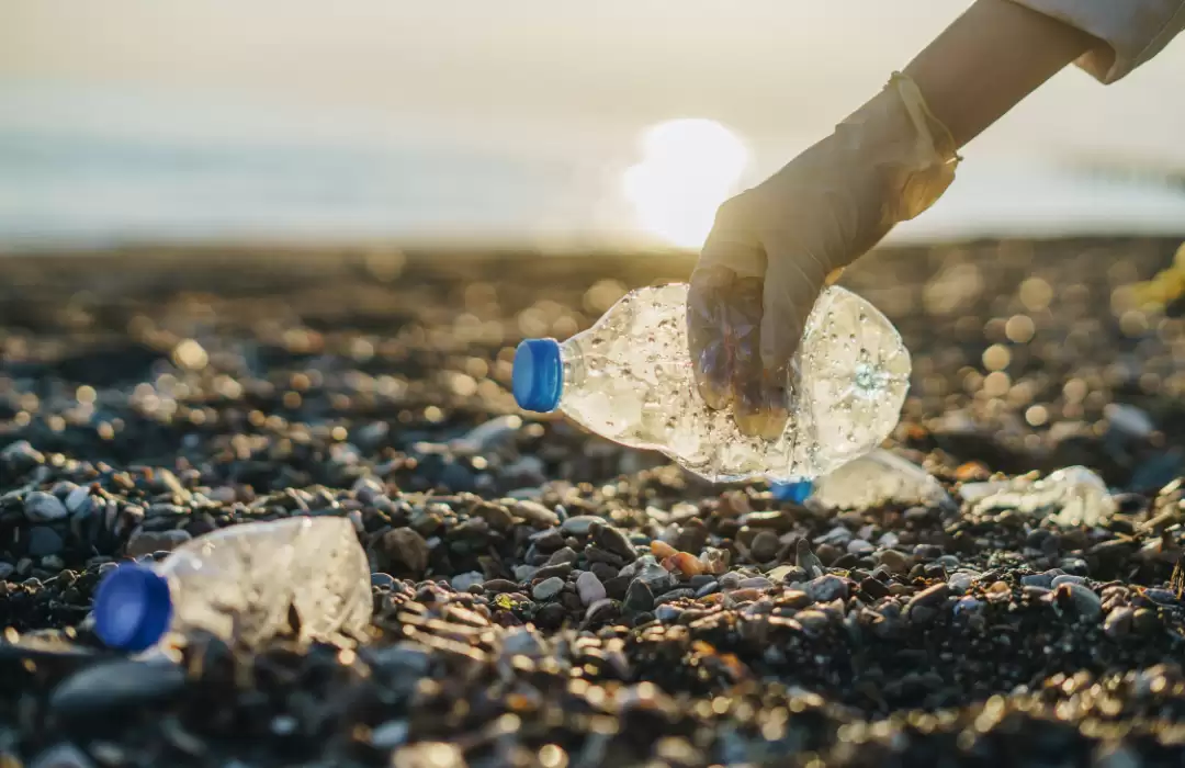 oin a Beach Cleanup