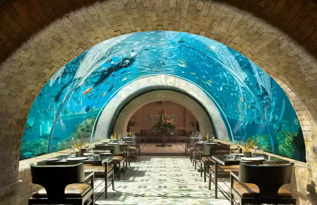 Fusion Cuisine: East Meets West