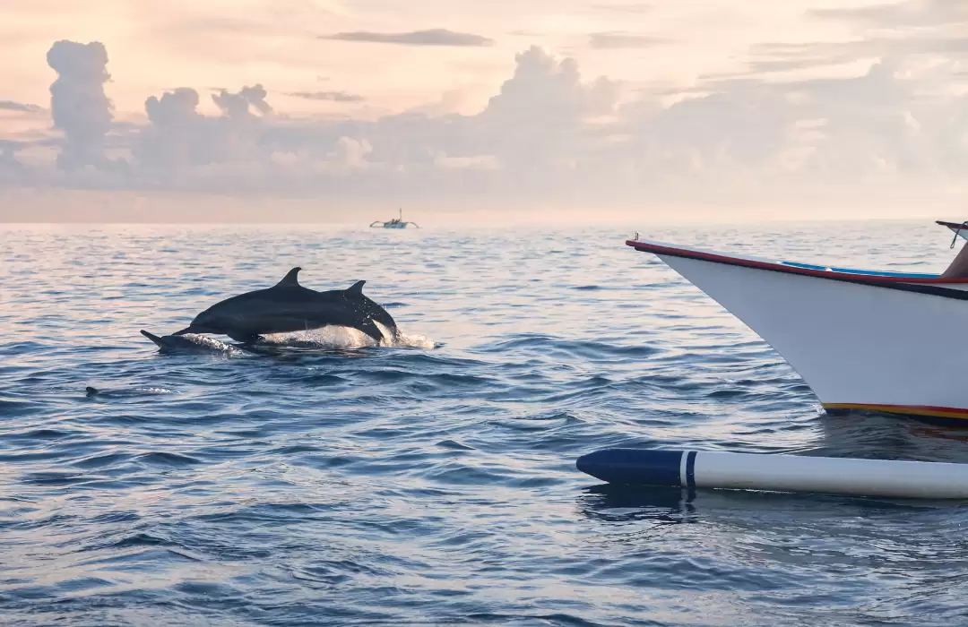 Lovina: Tranquility and Dolphin Encounters