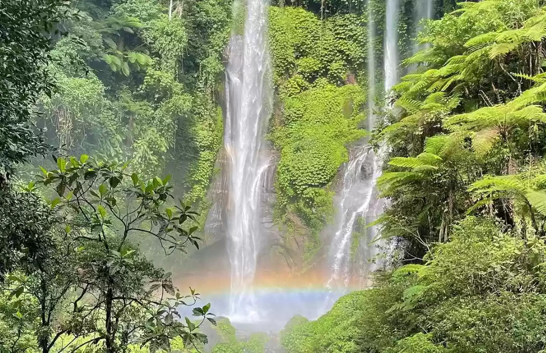Discover Bali’s Hidden Waterfalls and Jungle Trails