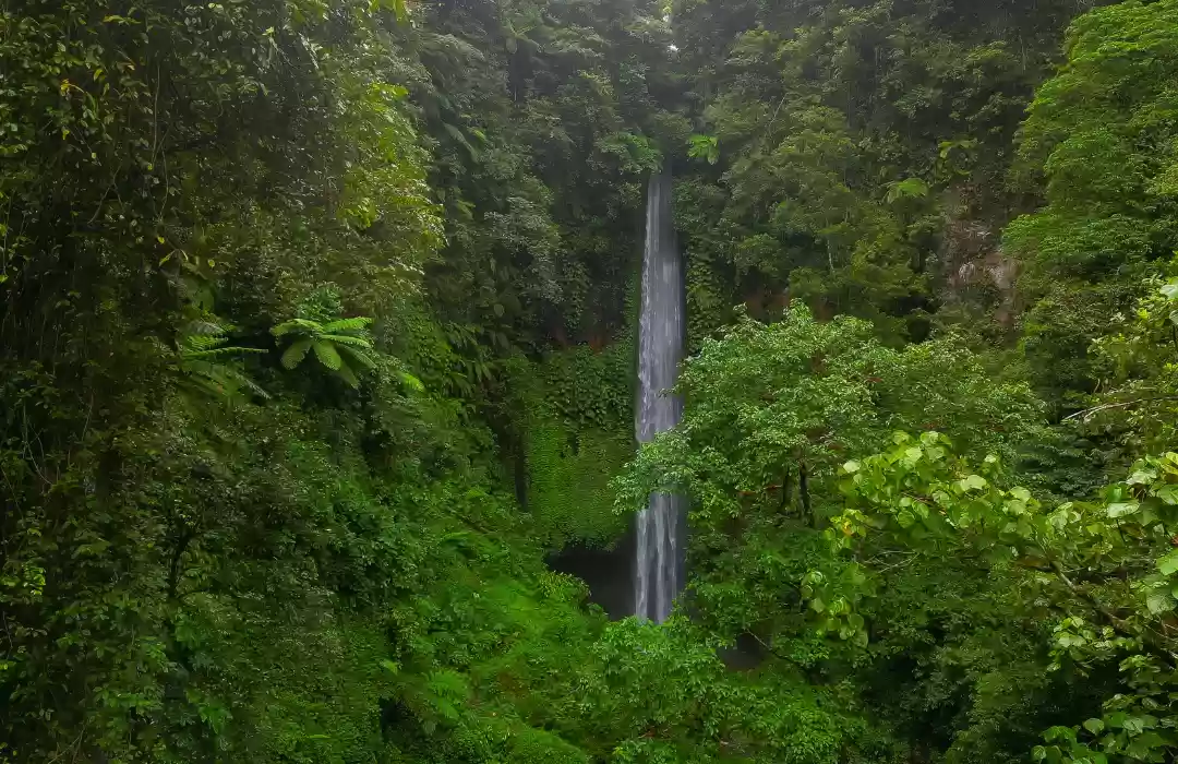 Sekumpul Waterfall - Nature’s Masterpiece