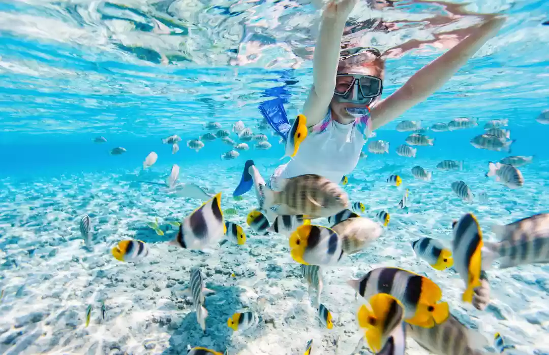 Snorkeling and Diving in Nusa Penida