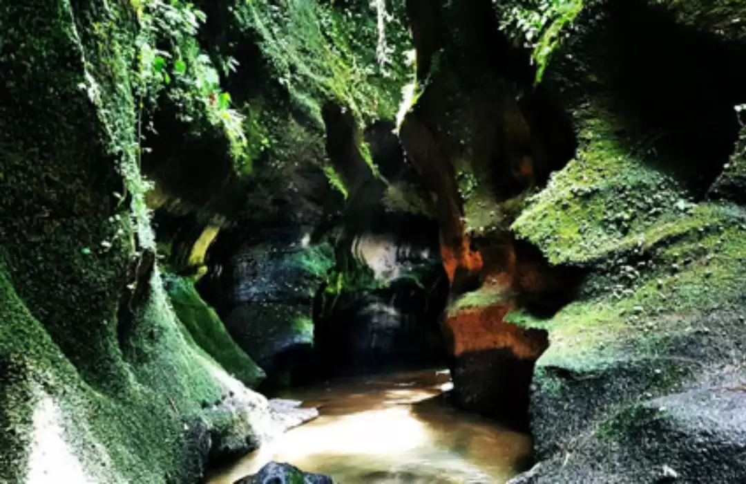 Green Cliffs of Undisan