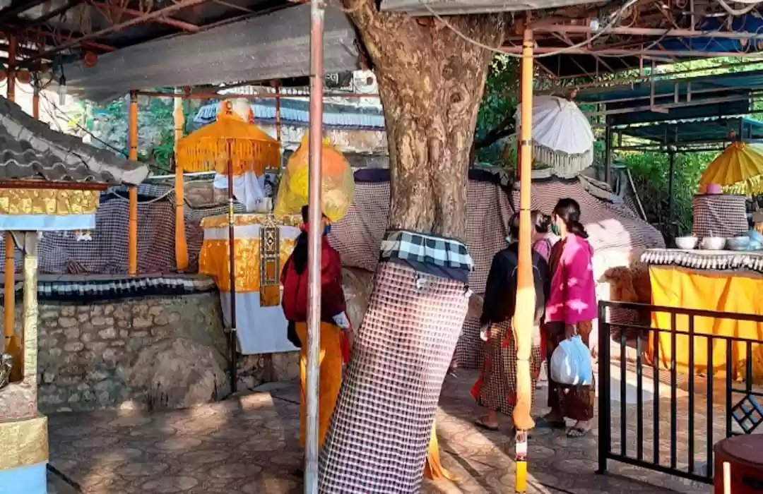 How to Get to Goa Giri Putri