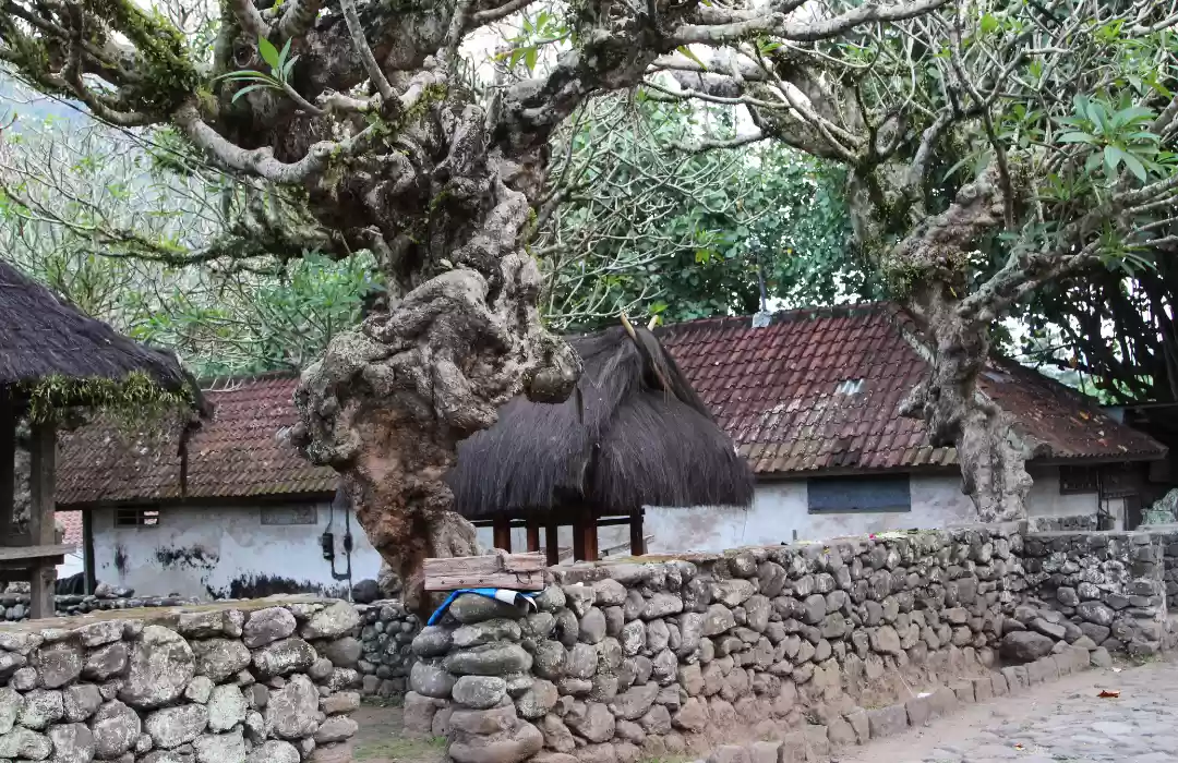 enganan Village - A Window into Bali’s Ancient Traditions