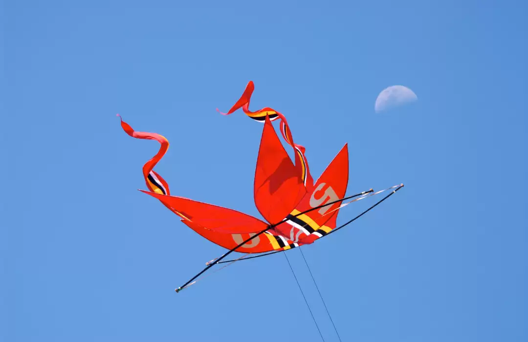 Bali Kite Festival - A Sky Full of Colors
