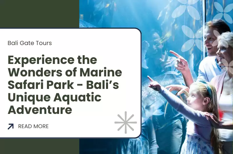 Experience the Wonders of Marine Safari Park - Bali’s Unique Aquatic Adventure