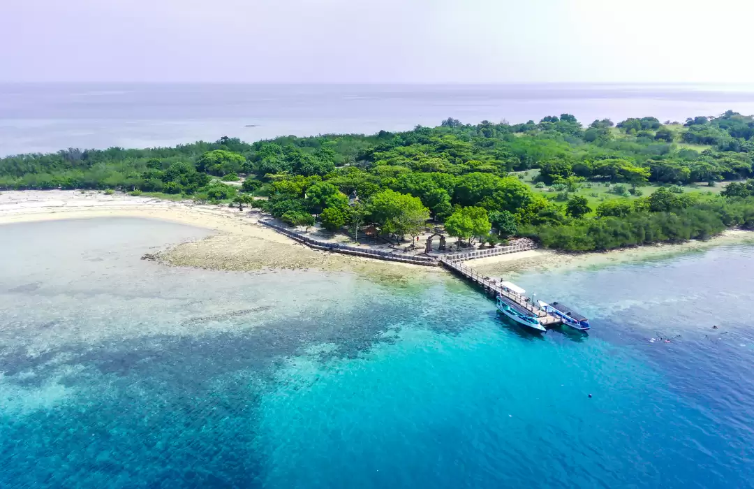 West Bali National Park - A Paradise for Wildlife Enthusiasts