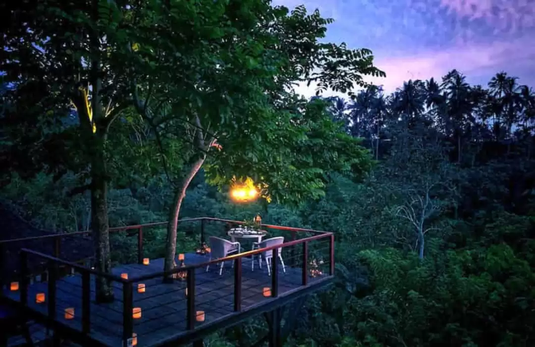 Romantic Dinner in a Jungle Setting