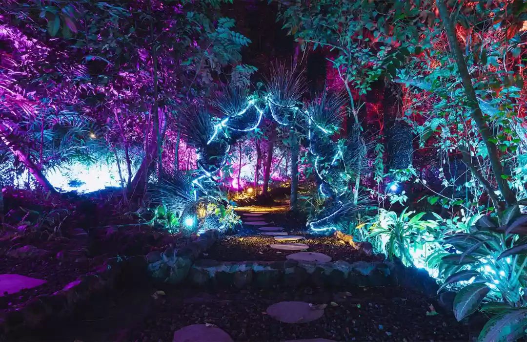 Aurora Media Park - Bali’s First Outdoor Multimedia Experience