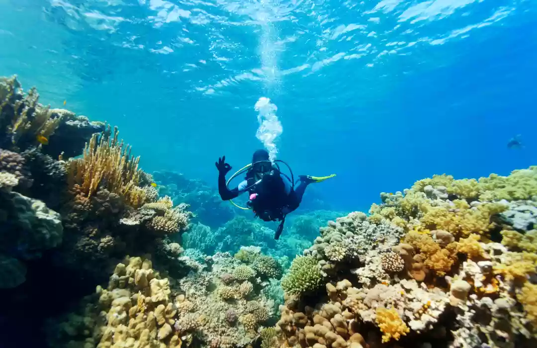 Diving and Snorkeling at Nusa Penida