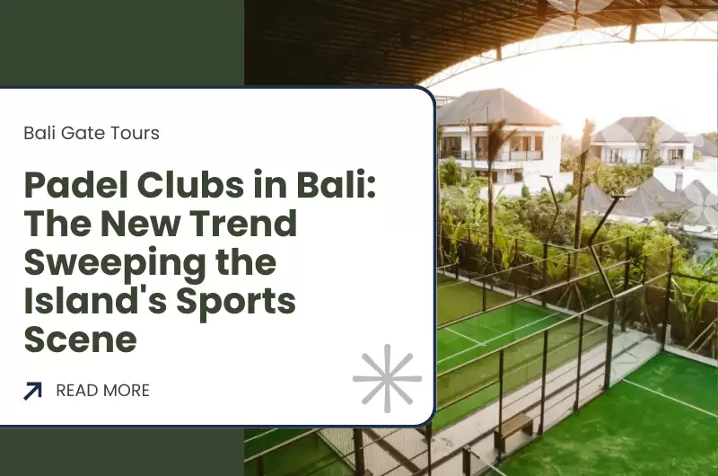 Padel Clubs in Bali - The New Trend Sweeping the Island's Sports Scene