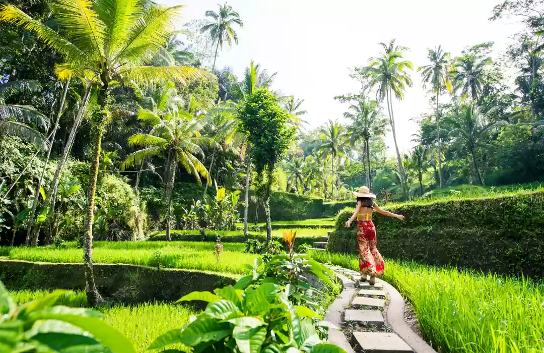 Tegalalang Rice Terraces – A Lush Green Paradise