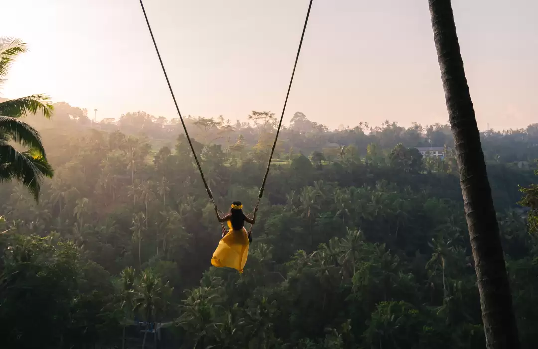Bali Swing – Fly Over the Jungle
