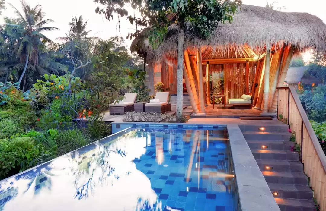 Fivelements Retreat – A Haven of Holistic Healing