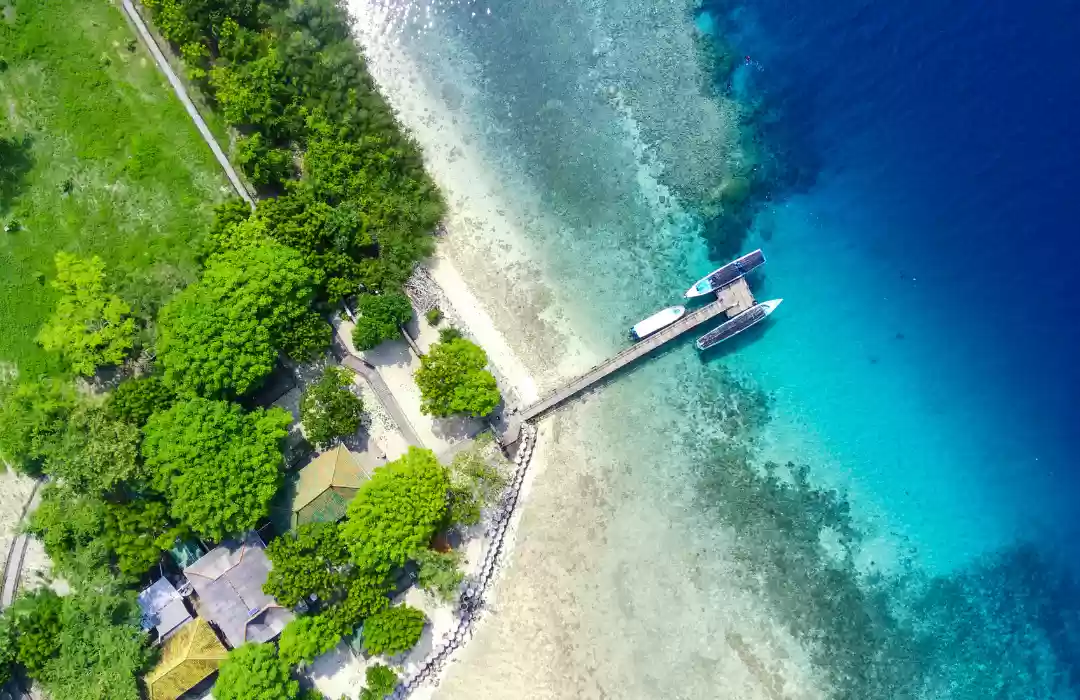 Trek Through West Bali National Park