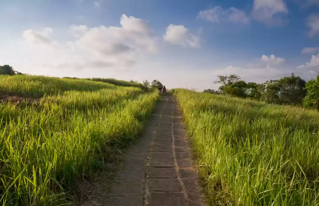 Campuhan Ridge Walk – Ubud’s Best Sunrise Hike