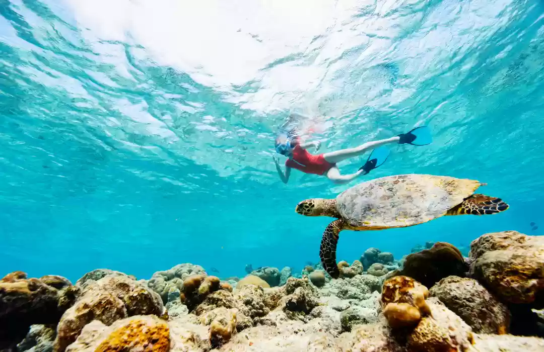 Snorkeling in Bali’s Vibrant Waters