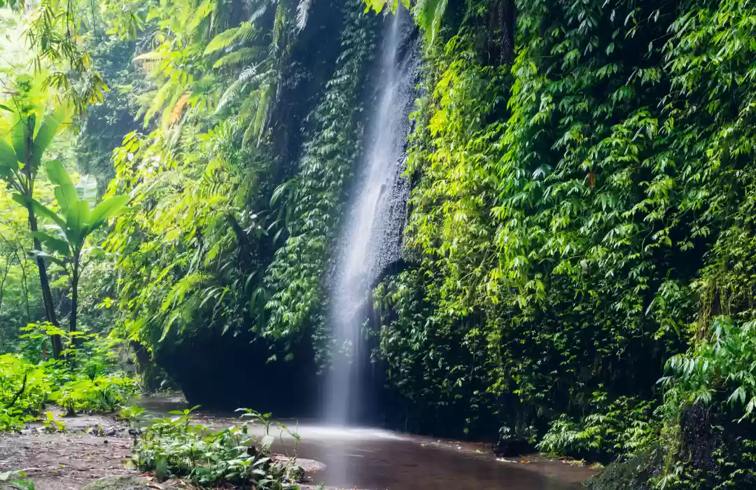 Tukad Cepung Waterfall – A Hidden Cave Cascade