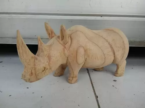 Rhino1