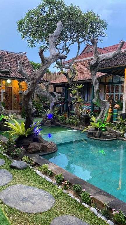 Suite Room with Pool View