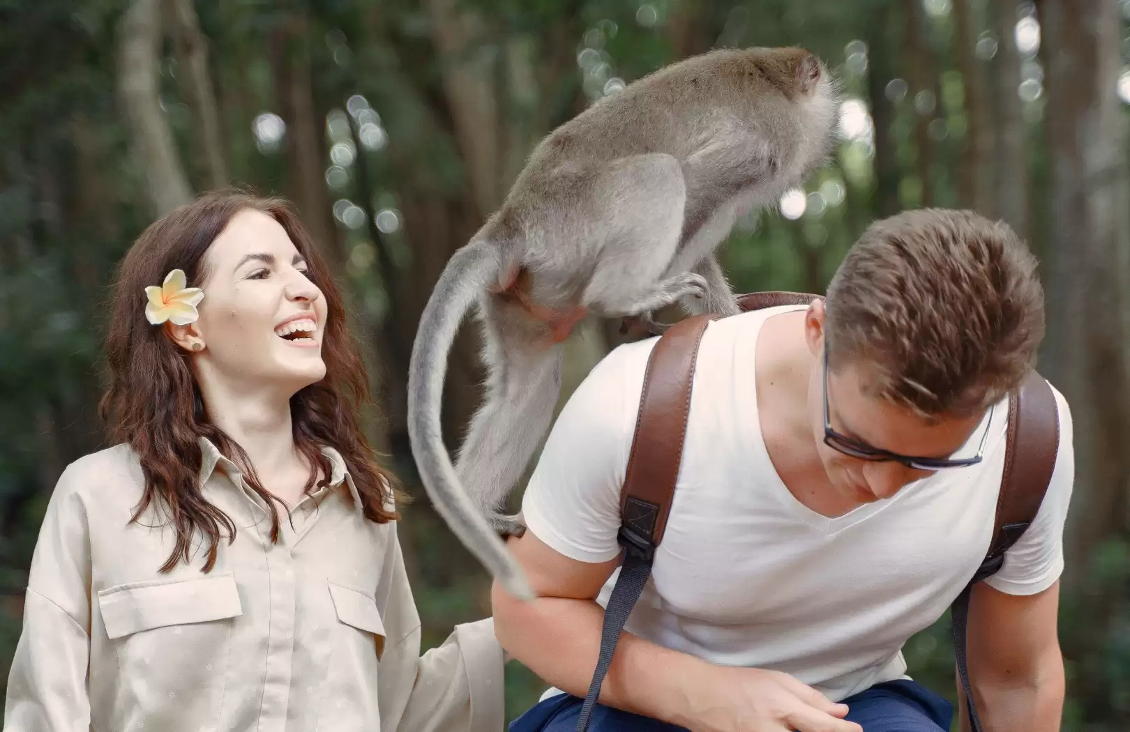 Ubud Monkey Forest