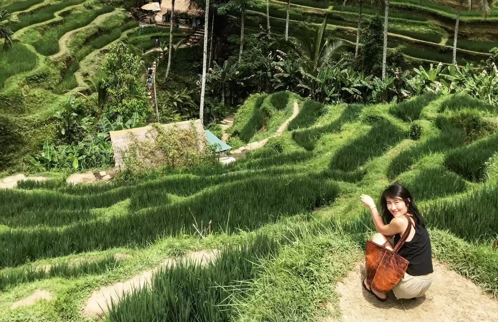 Tegalalang Rice Terraces