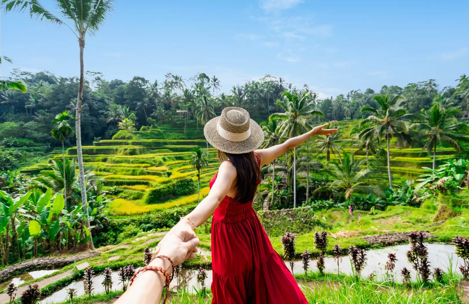 Tegalalang Rice Terraces
