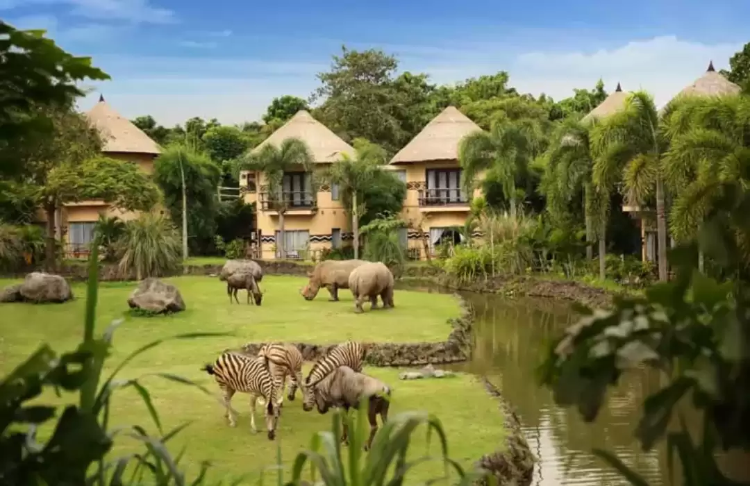 Bali Safari & Marine Park – A Wild Adventure for Kids
