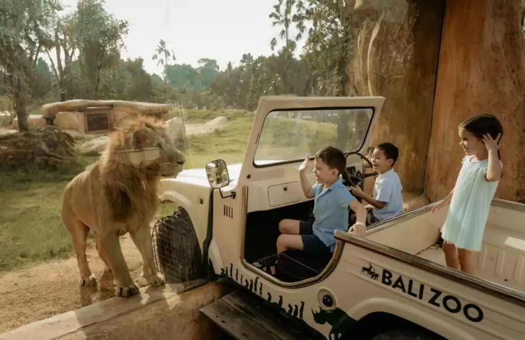 Bali Zoo – A Hands-On Wildlife Encounter