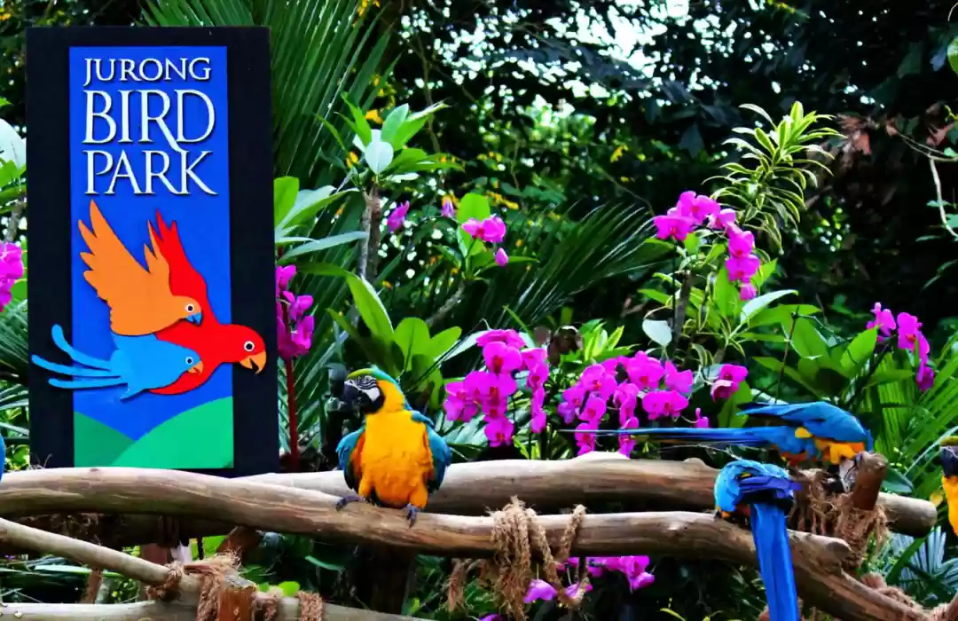 Bali Bird Park – A Paradise for Bird Lovers
