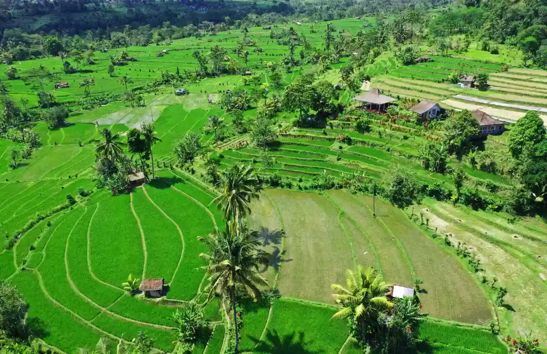 Explore the Untouched Beauty of Sidemen Valley