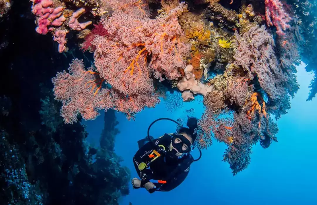 Tulamben – Explore the Famous USAT Liberty Shipwreck