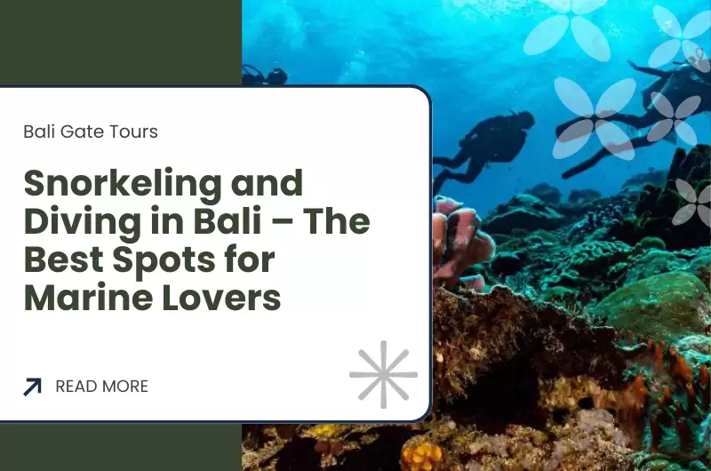 Snorkeling and Diving in Bali – The Best Spots for Marine Lovers