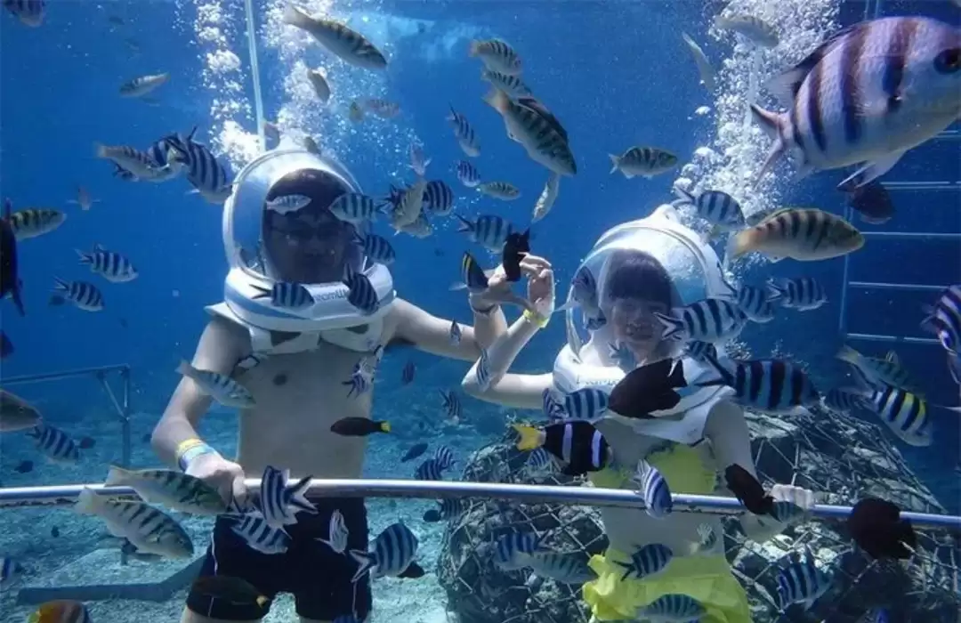 Seawalker Experience