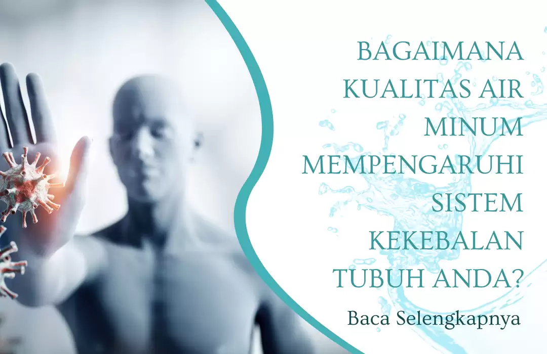 Bagaimana Kualitas Air Minum Mempengaruhi Sistem Kekebalan Tubuh Anda?