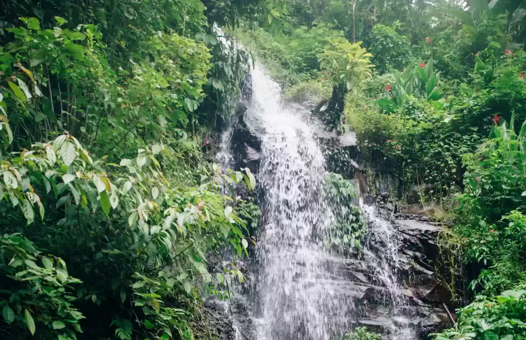 Gitgit Waterfall – A Majestic Cascade with a Mystical Atmosphere