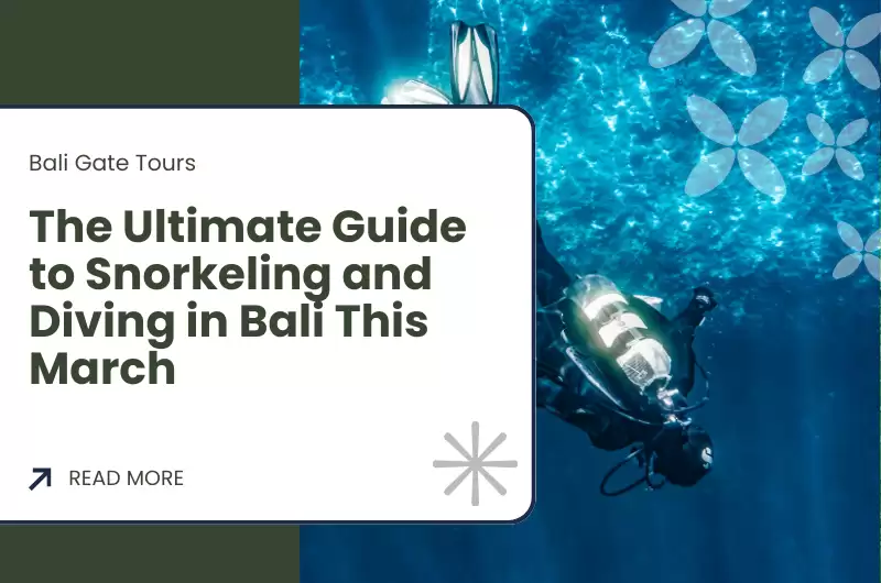 The Ultimate Guide to Snorkeling and Diving in Bali This March