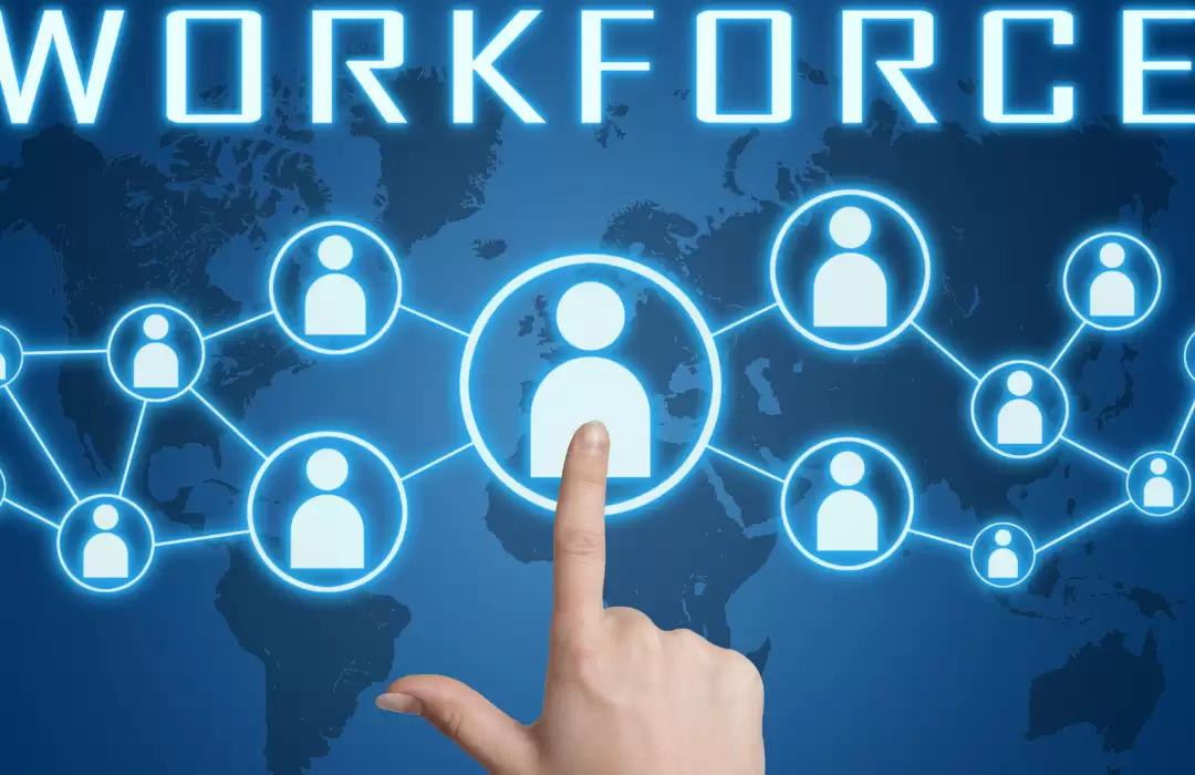 Diversity Hiring Metrics: How to Measure and Improve Workforce Representation