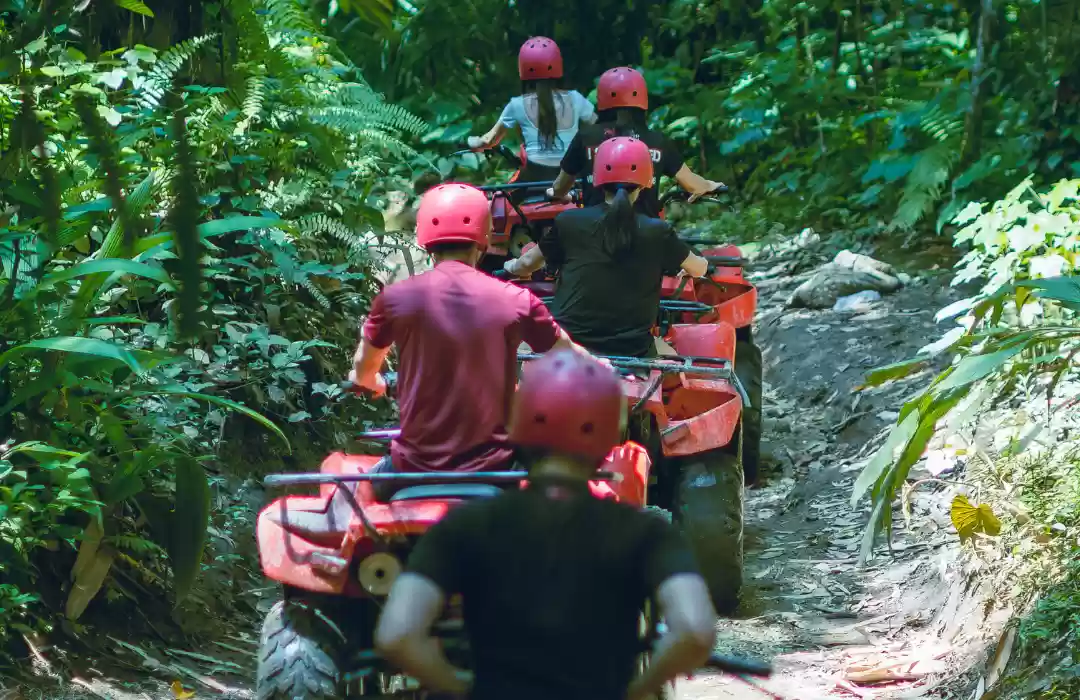 Are You a Thrill-Seeker or a Relaxed Explorer?