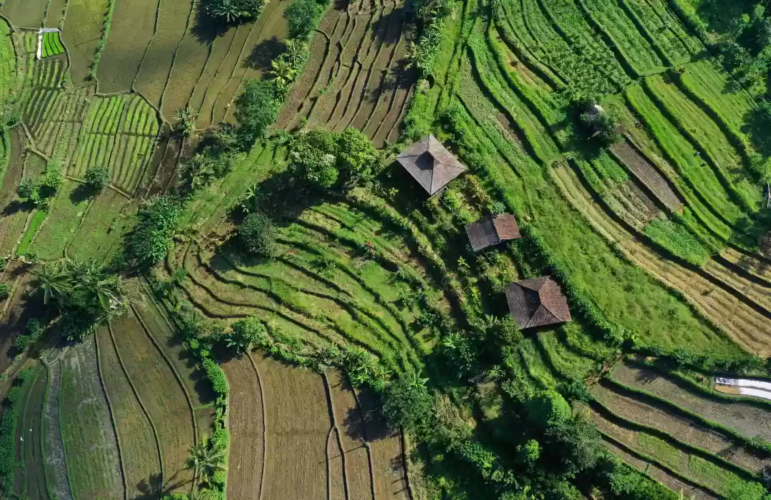 Sidemen Village – A Hidden Gem for Balinese Countryside Living