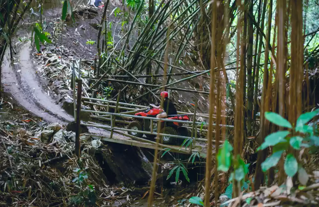 dadi bali adventure