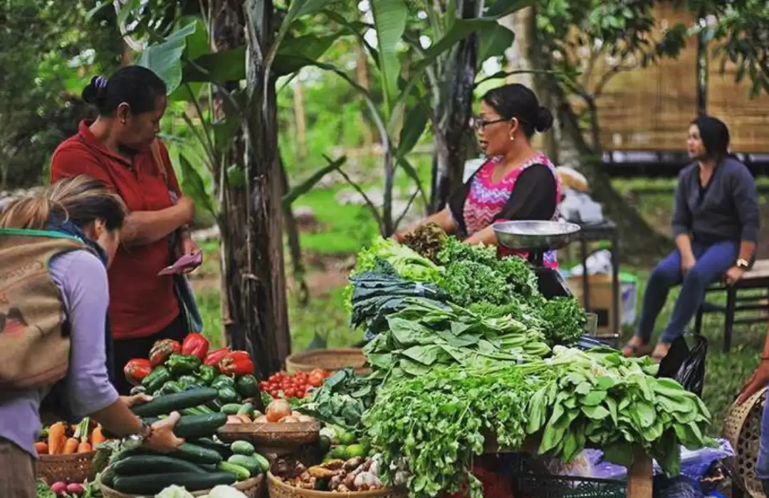 Ubud Organic Market – A Hub for Fresh Ingredients