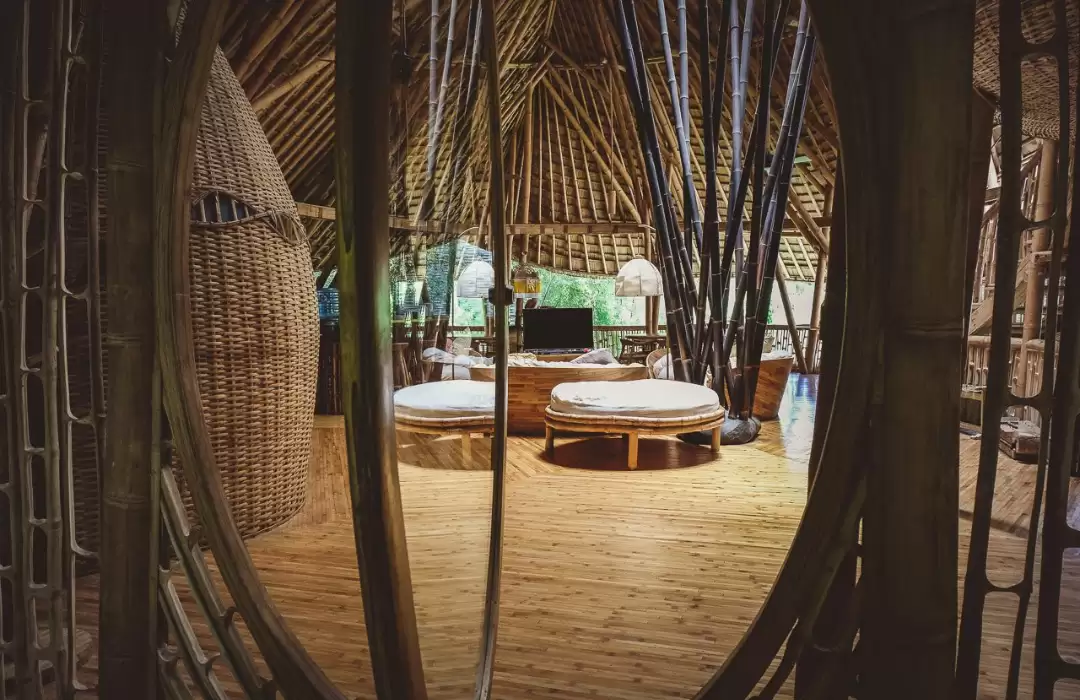 The Green Village: Living in Harmony with Nature